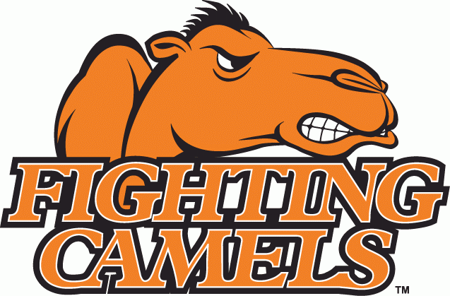 Campbell Fighting Camels 2005-2007 Alternate Logo v2 iron on transfers for T-shirts
